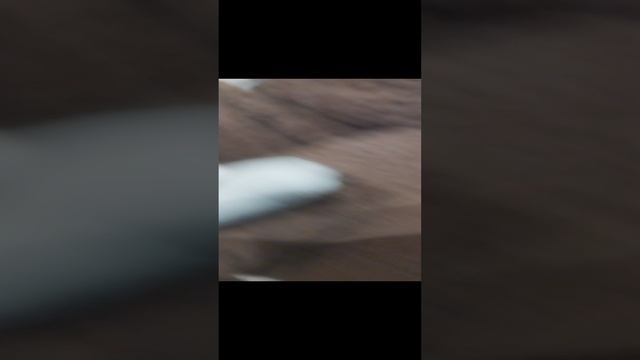 смешные новости