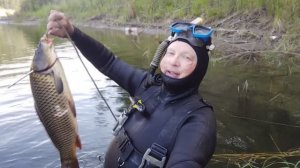 не просыхаю