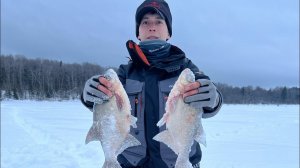 Рузское водохранилище. ЛОВЛЯ ЛЕЩА НА БЕЗМОТЫЛКУ.