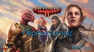 Divinity: Original Sin 2 (Первый запуск!)