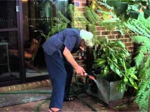 Русские в Австралии