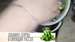 Маринованные огурцы по фински. Pickled cucumbers in Finnish.
