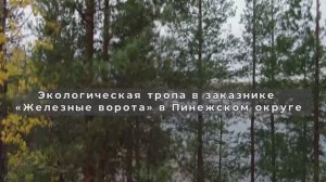 Экологическая тропа в заказнике "Железные ворота" в Пинежском округе