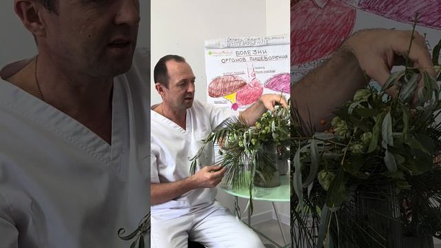 5 мощных трав против гриппа и простуды: Секретный рецепт врача-натуропата