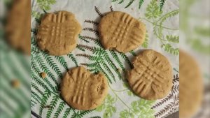 Кошачья логика, которую не дано понять человеку часть 2