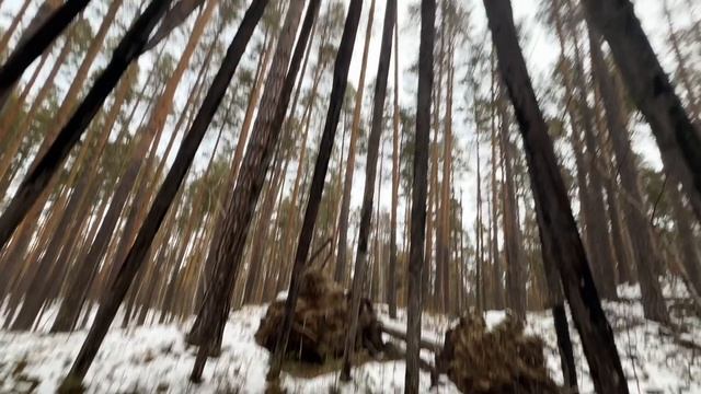 Прогулка Тальков камень 03-12-2024