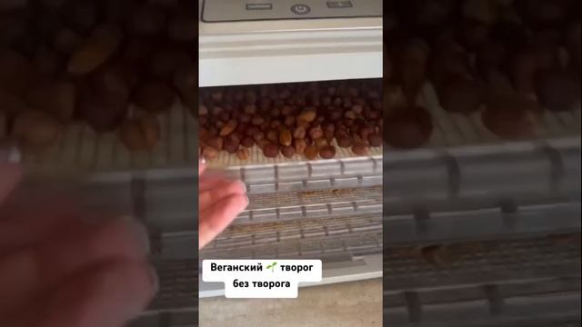 Веганский творог 🌱 #веганство #веганскаяеда #веганы #веганскиерецепты