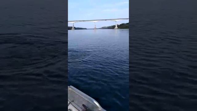 Шок! Сом на микроджиг. Рыбалка на ультралайт в Подмосковье