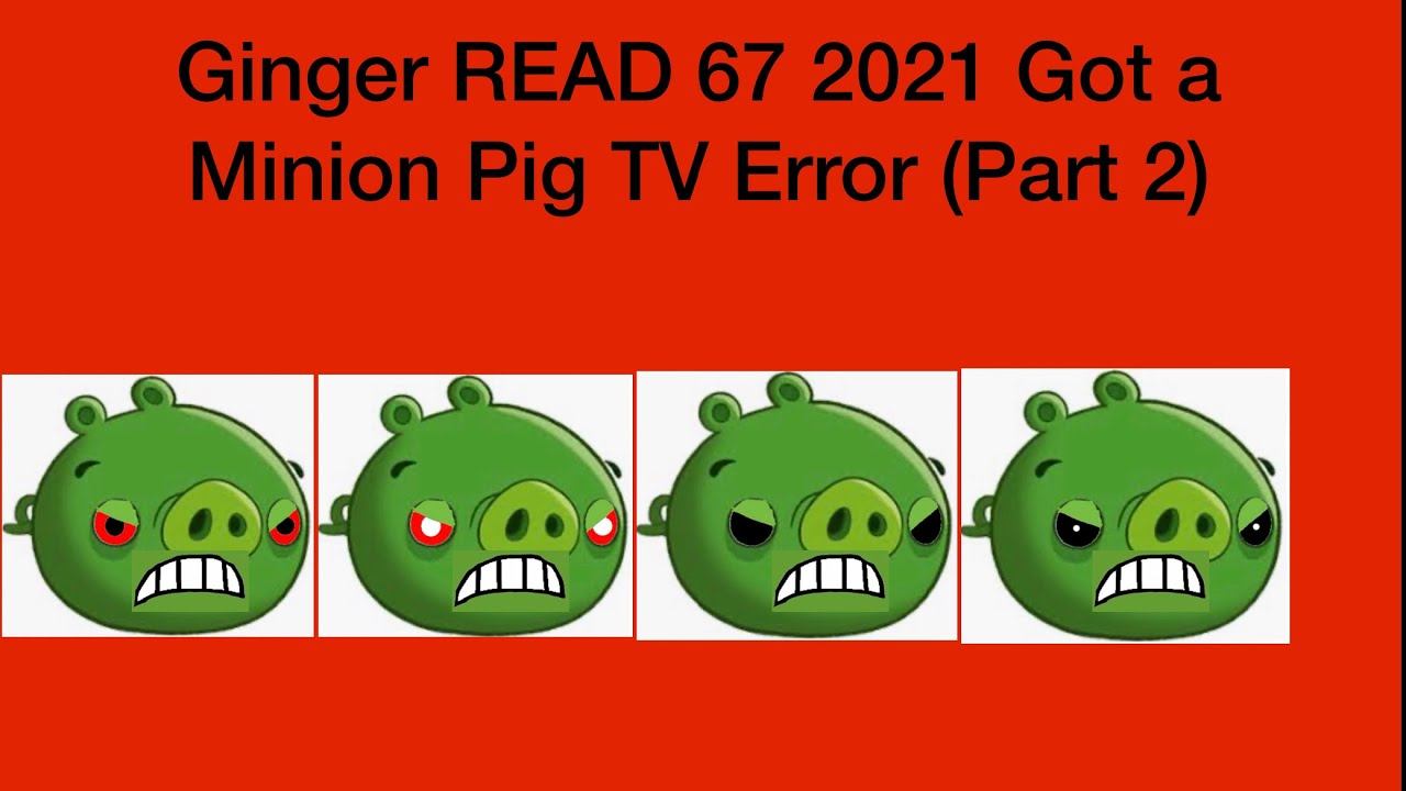 Ginger READ 67 2021 Got a Minion Pig TV Error (Part 2) смотреть онлайн