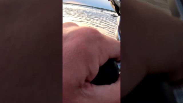 Как поймать судака в апреле #shorts #fishing #norstream #рыбалка #джиг #zander #судак #ловлясудака