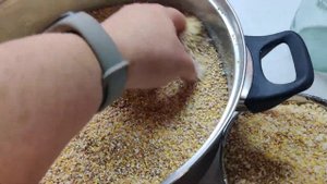 Мои новые цыплята. Первый предстартовый корм для цыплят.