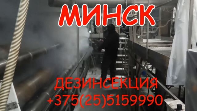 Беларусь - Минск - Веснянка дезинсекция тараканов /потравить тараканов ...