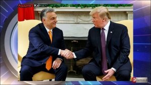 Посредник от Вашингтона. Трамп начал переговоры по России и Украине