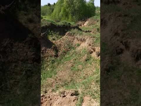 Экология вМошенском районе,д.Меглецы смотреть онлайн