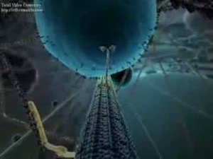 7Жизнь внутри клетки