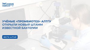 Учёные «Промбиотех» АлтГУ открыли новый штамм известной бактерии