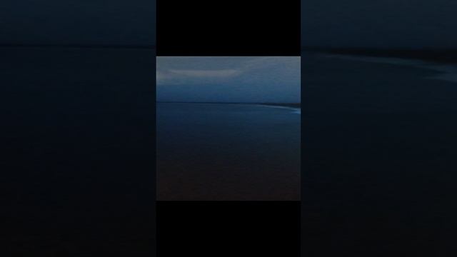 1000005890.mp4