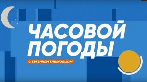 Часовой погоды | 3 декабря 2024 года