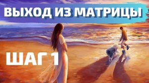 ВЫХОД ИЗ МАТРИЦЫ_ ШАГ 1. ВАДИМ ЖЕРЕБЦОВ