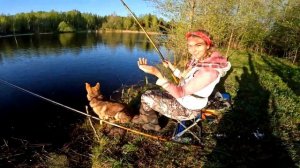 ДУШЕВНАЯ РЫБАЛКА на ПОПЛАВОК! С собаками за УКЛЕЙКОЙ на любимую речку