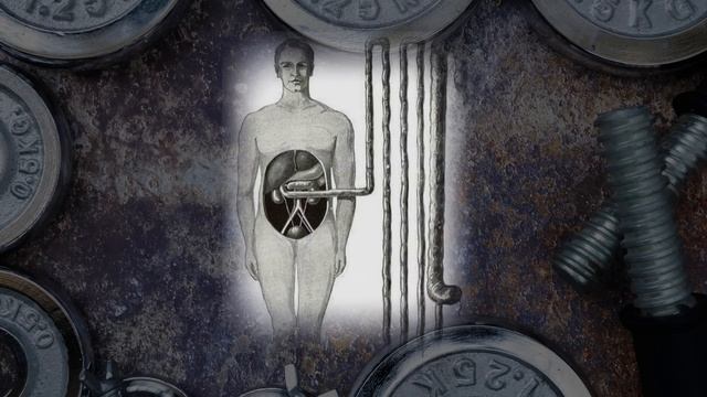 ПЛАТО в похудении. Что делать, если встал вес? смотреть онлайн