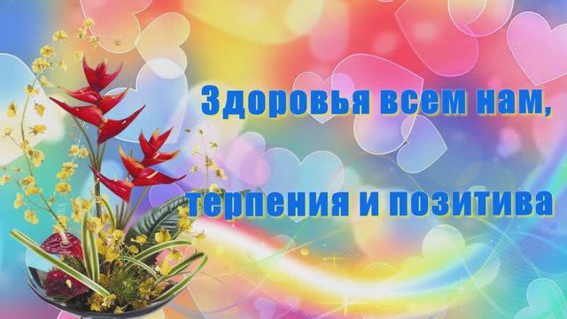 ВАМ, СИЛЬНЫЕ ДУХОМ! ЗДОРОВЬЯ И ПОНИМАНИЯ! ❤️ День инвалидов смотреть онлайн