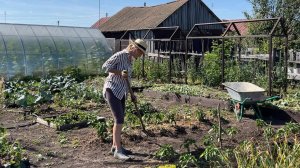 ДОМ В ДЕРЕВНЕ/ КУРЫ СЪЕЛИ ОГОРОД/ПРОДОЛЖАЕМ РЕМОНТ/ МАЛИНОВЫЙ РАЙ/СВЯТЫЕ МЕСТА