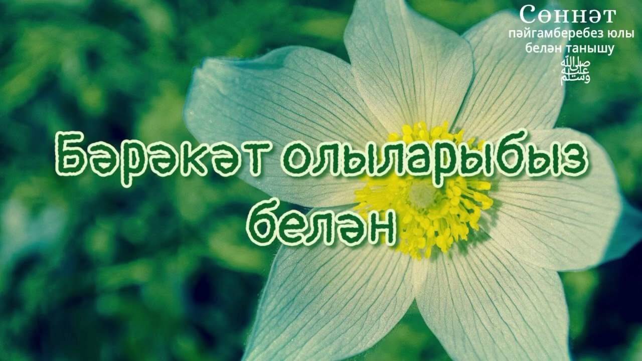 Бәрәкәт олыларыбыз белән | Рамил Гәйнетдинов