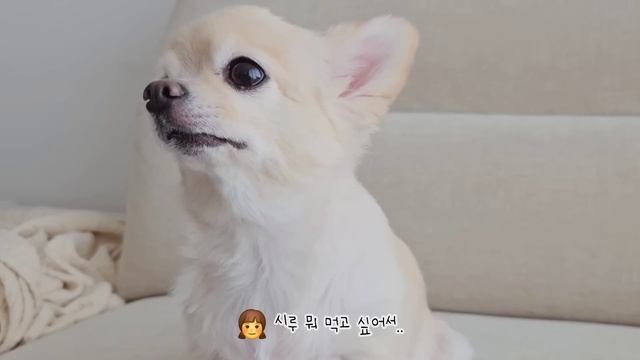 일본 일상 l 지진대비 생존가방 18종 언박싱, 마트 장보고 편의점 털기, 단호박 오트밀죽, 쭈꾸미파스타, 스카이트리&소라마치 다녀온 도쿄 브이로그