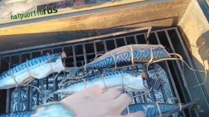 Скумбрия горячего копчения, сухой посол