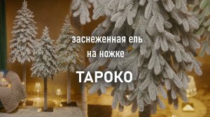 Заснеженная ель на ножке "Тароко"