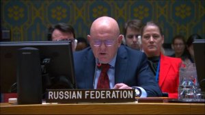 Statement by PR Vassily Nebenzia at a UNSC Briefing on Women, Peace and Security