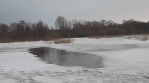 БЕЗМОТЫЛКА. ЛОВЛЯ ПЛОТВЫ И ОКУНЯ НА РЕКЕ