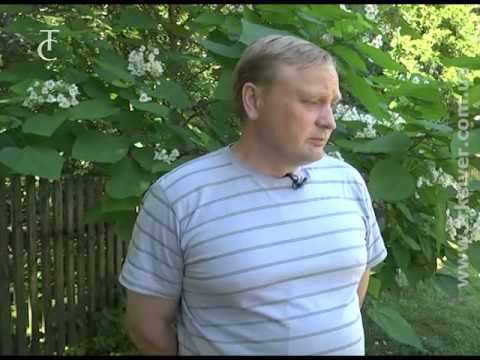 Катальта