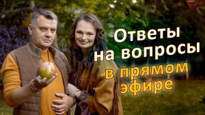 Спорим о вкусе картошки и отвечаем на вопросы зрителей