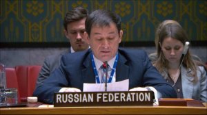 Statement by First DPR Dmitry Polyanskiy at UNSC Briefing on Ukraine