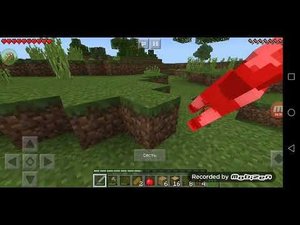 Первое видео Адора