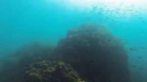 Фукуок: Секреты Райского Острова и Чем Он Пленяет Туристов.