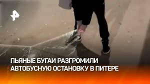 Пьяный погром в Питере: вандалы разгромили остановку