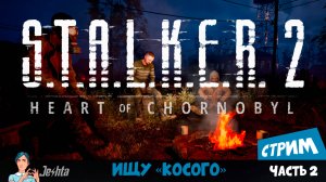 S.T.A.L.K.E.R. 2 (стрим) знакомлюсь с местными, ищу Косого #2