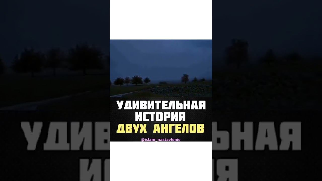 удивительные история ангелов