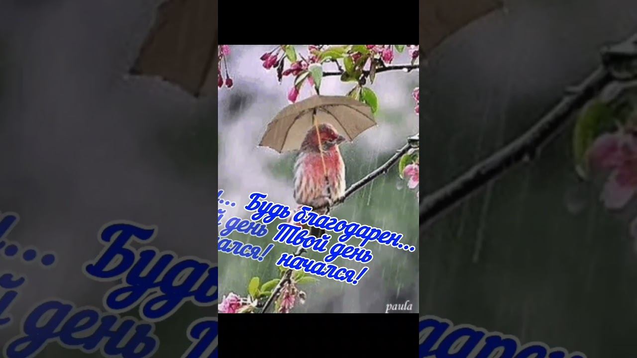 #доброеутро  Хорошего дня!