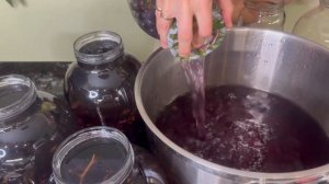 Насыщенный компот из винограда на зиму, вариант без сахара. Без стерилизации и варки сиропа.