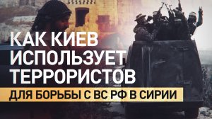 Подпитывая терроризм на Ближнем Востоке: зачем Киев делится технологиями с сирийскими боевиками