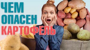 Стоит ли есть картофель? / Польза и вред картофеля! Как правильно готовить картошку?