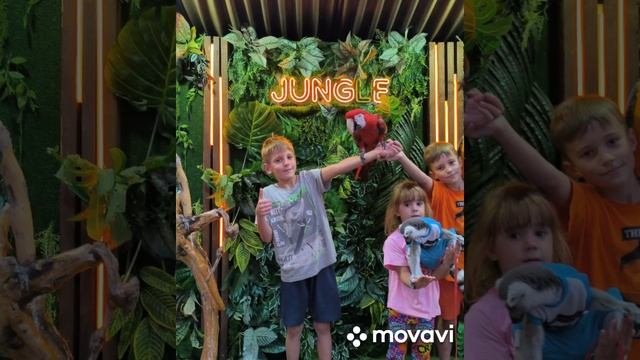 приятные воспоминания