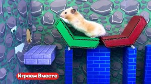 Хомяк попал в ЛАБИРИНТ С КРУТЫМИ ПРЕПЯТСТВИЯМИ ! Выбираемся из лабиринта вместе ! часть 1