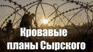 «Их прислали из Франции». Что задумал Сырский