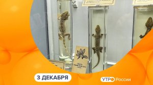 Утро России. Калуга (03.12.2024)