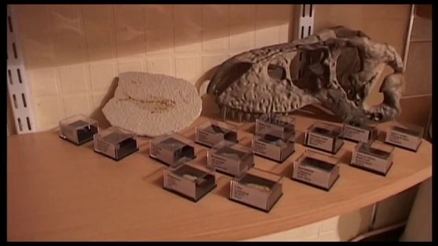 Fossils Collection